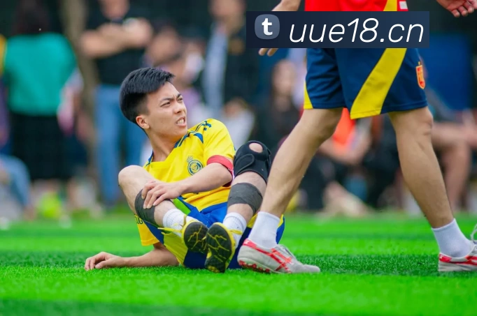 App Interface Preview